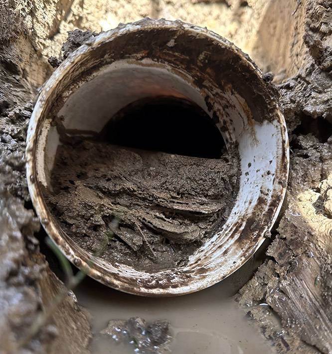 sewer line blockage