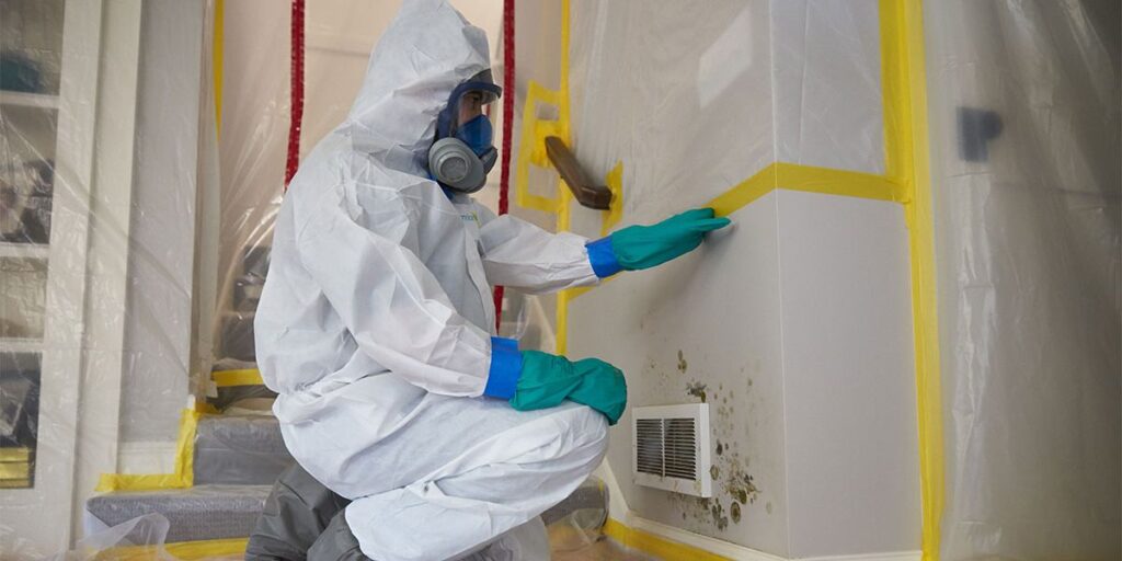 mold removal